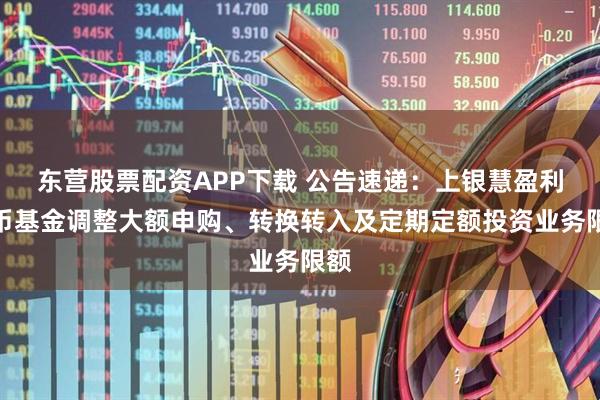 东营股票配资APP下载 公告速递：上银慧盈利货币基金调整大额申购、转换转入及定期定额投资业务限额